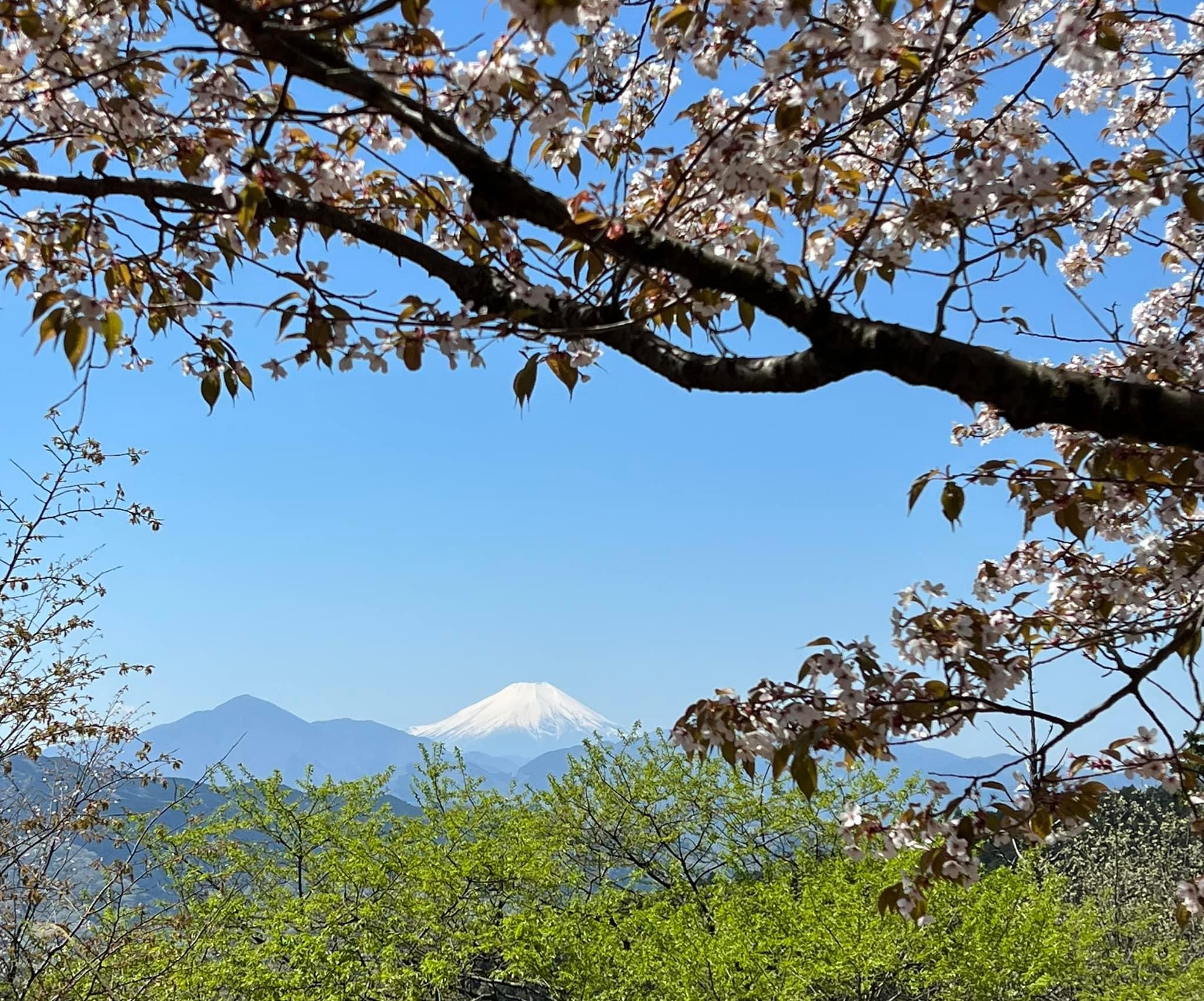 もみじ台付近からの富士山